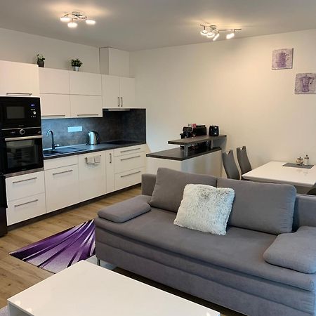 Apartman S Vyhlidkou Horní Maršov Zewnętrze zdjęcie
