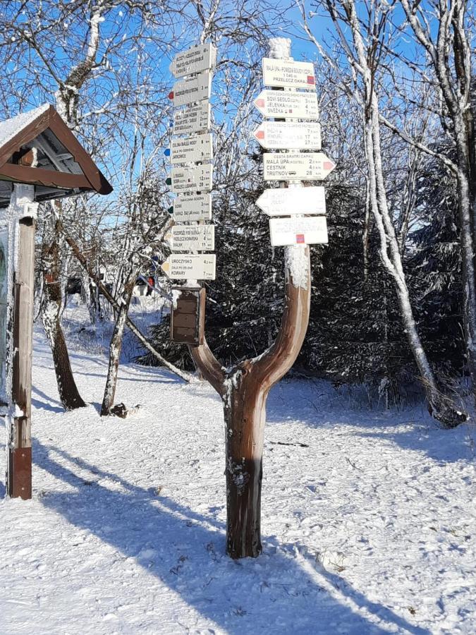 Apartman S Vyhlidkou Horní Maršov Zewnętrze zdjęcie